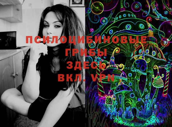 стафф Белоозёрский