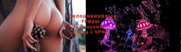 стафф Белоозёрский