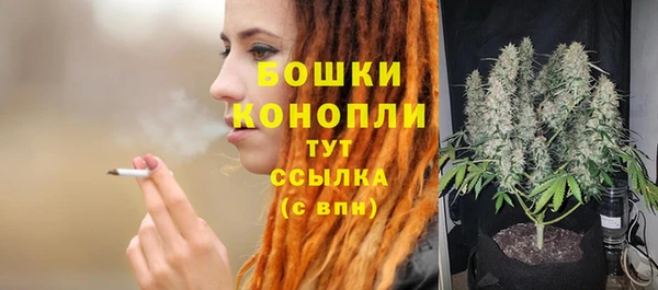 мет Белокуриха